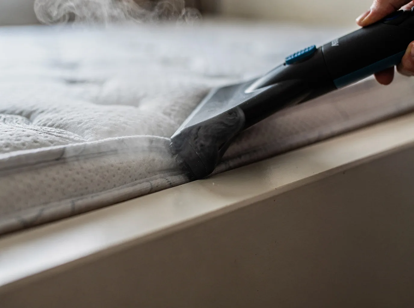 Why choose Bed Bug Treatment in Sandgate